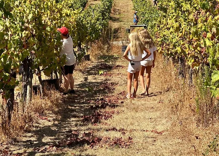 ヴィラ Casa Dos Esteios *